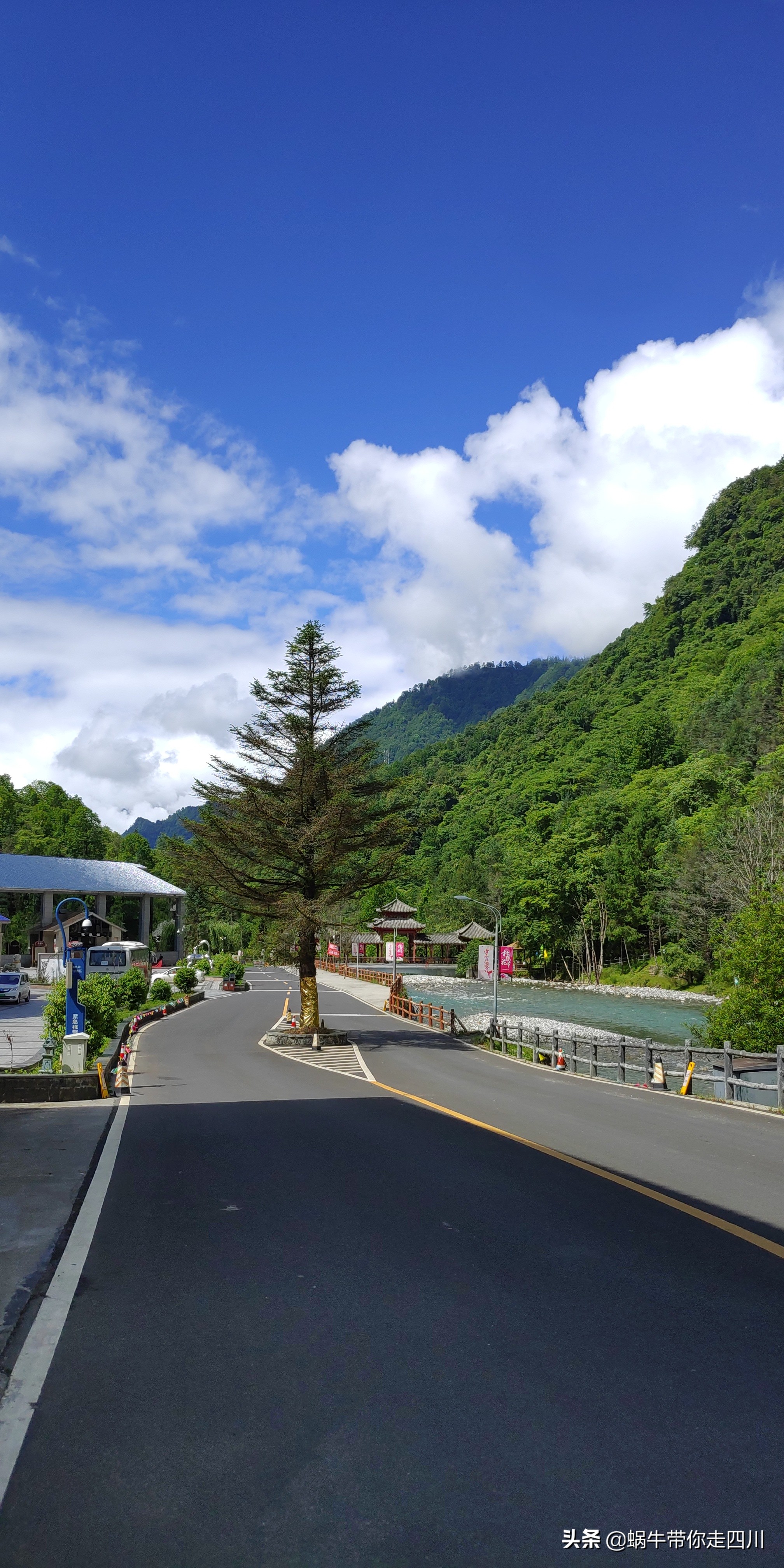 带小朋友出去看小动物,带小孩去海洋动物园