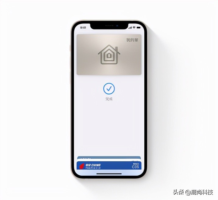ios15正式版发布带来一大波新功能,ios15正式版推送带来了什么