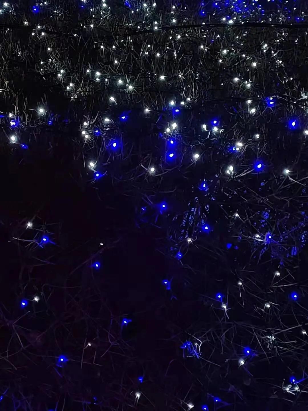 手拍世界（手机摄影平台）-群员作品集（总第671期）