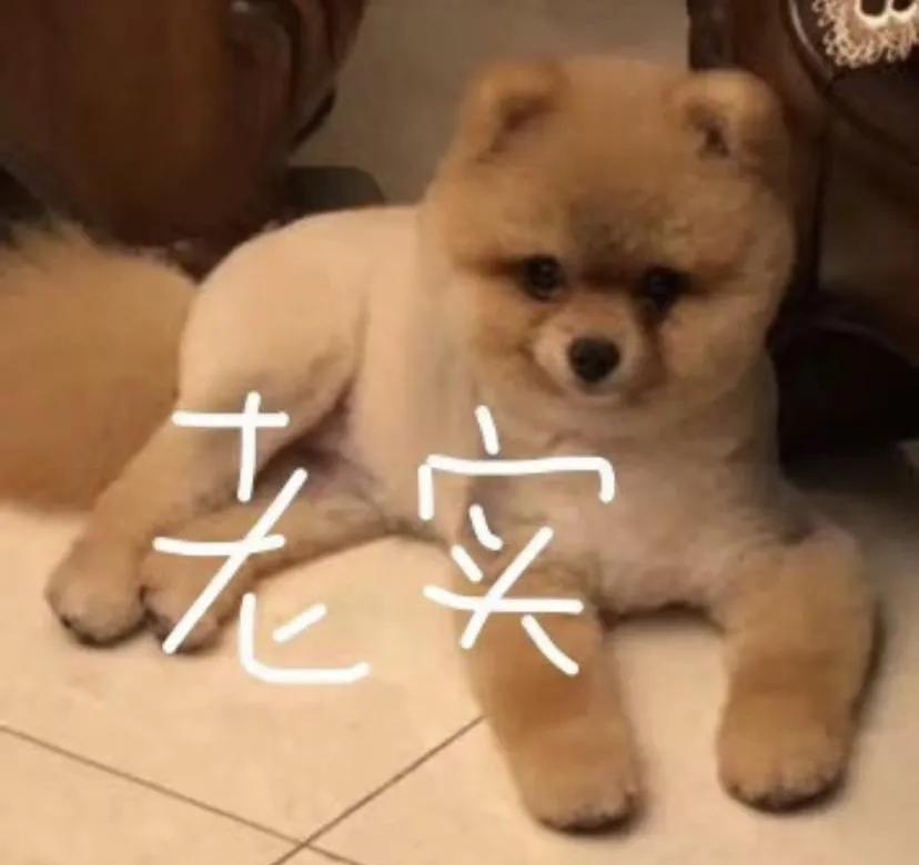 天下第一帅,天下第一帅英语