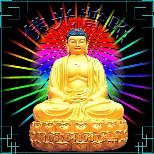 每日阿弥陀佛图片,阿弥陀佛放光动态图片高清图文
