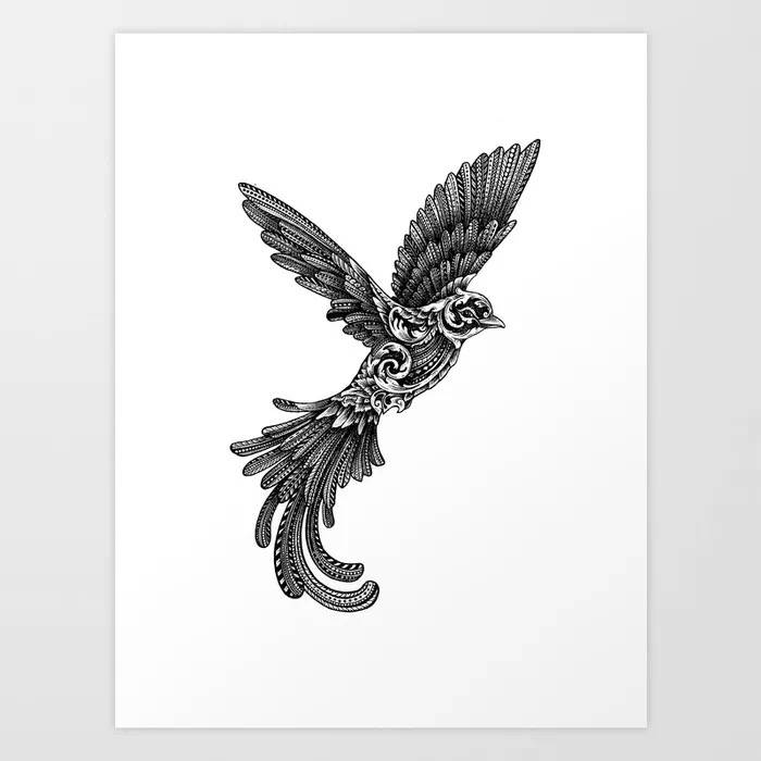 彩色插画手绘,黑白绘画人物procreate