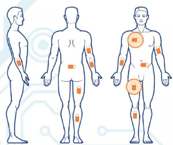 钘忔枃鍖荤枟绉戞櫘鐭ヨ瘑,钘忔枃鍋ュ悍绉戞櫘