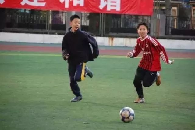 月坛银杏,月坛公园有银杏吗