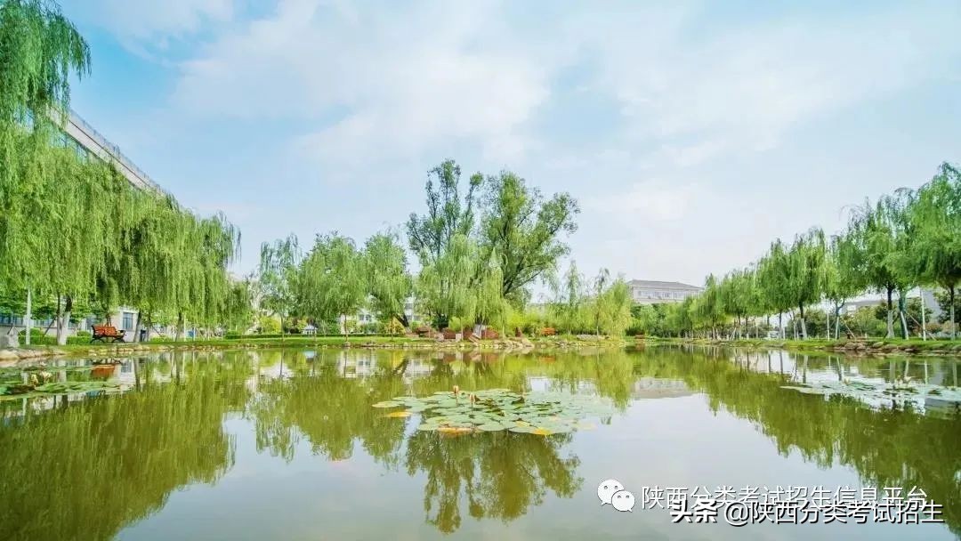 两汉三国,真美汉中|汉中职业技术学院