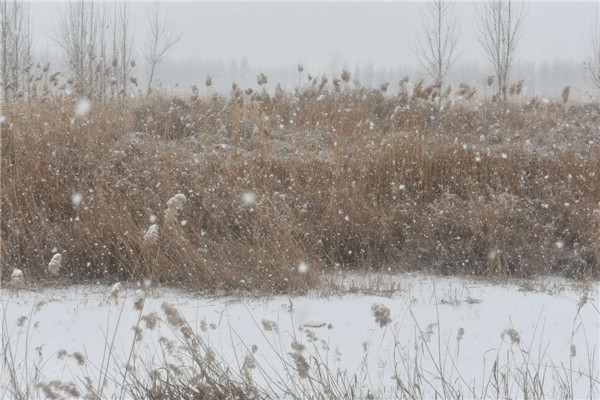 任丘各乡镇来历,任丘各村落简介