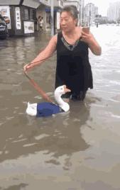 天津人全国口碑,天津人能有多俏皮