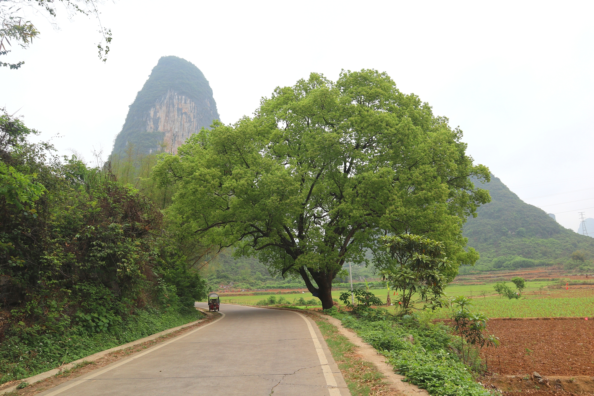 桂林骑行阳朔经典线路,江西骑行桂林阳朔攻略