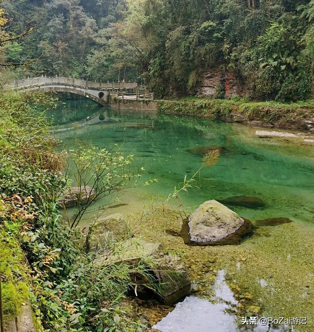 四川峨眉山景区怎么游玩最好,到峨眉山旅游哪家好玩点的多