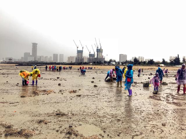 想旅行何须舍近求远，周末两天一夜亲海之旅美食美景一网打尽