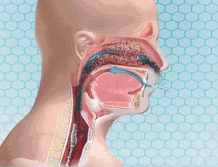 鼻毛长出来了正确处理方法,鼻毛长出来是拔掉还是剪掉