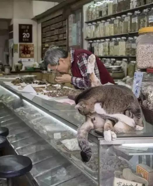 香港这家便利店的店长,靠着腮帮子走红了