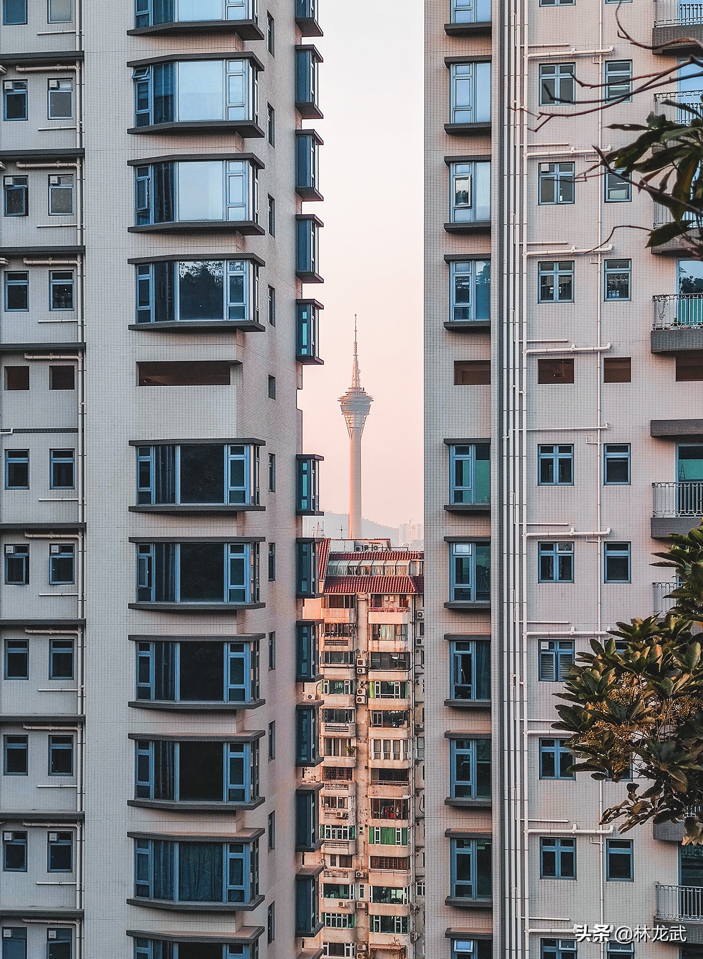 去澳门带一台手机,去澳门旅游带两个苹果手机