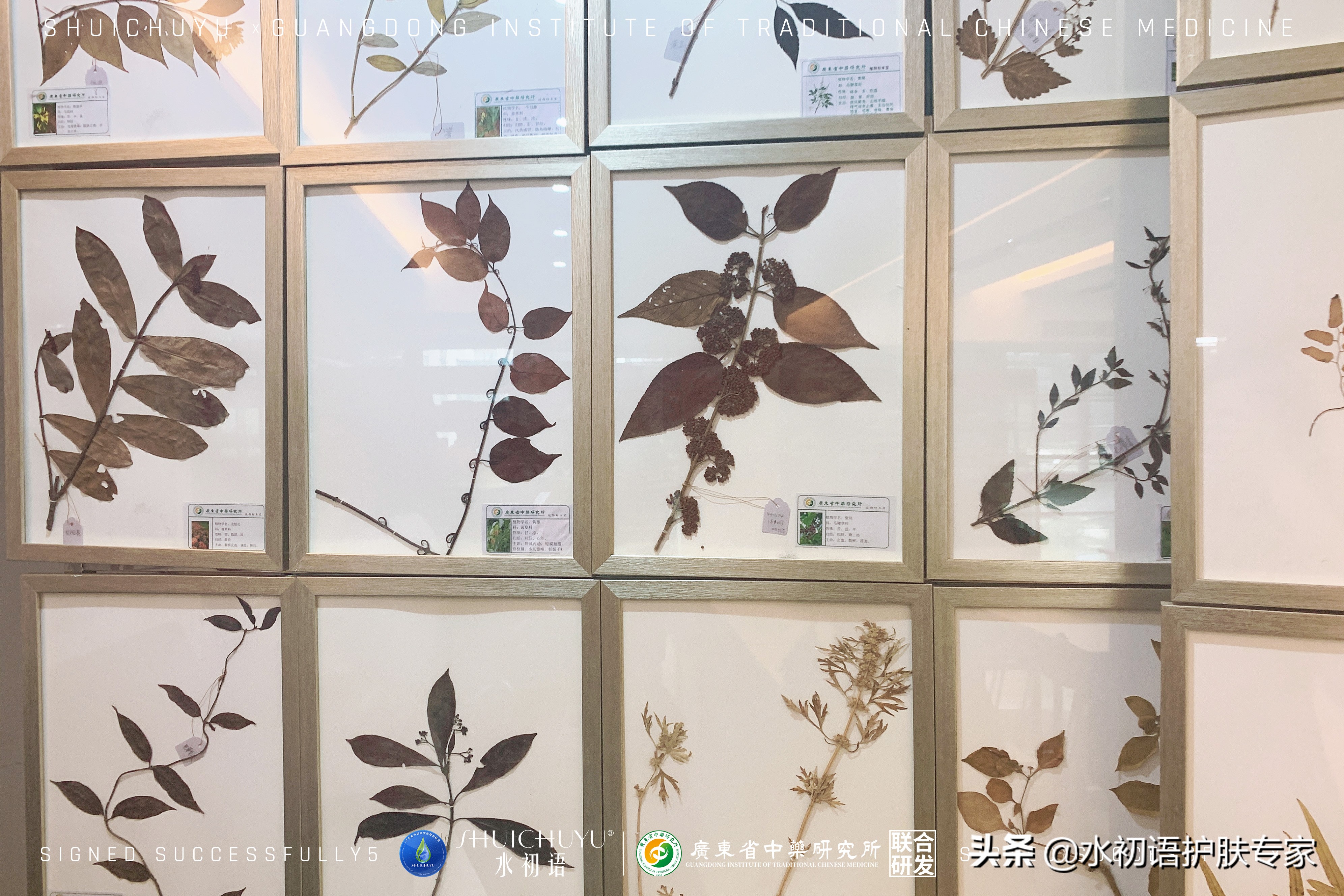 广东省中药研究所产学研合作,中药材科研共建基地授牌签约仪式