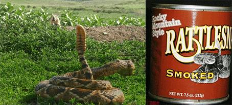 外国人谈中国人不吃罐头,当老外得知中国人不喜欢吃罐头