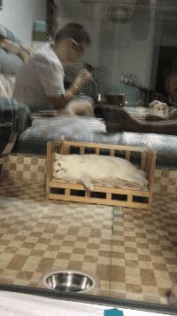 当了一天摄影师,我却中暑流鼻血,真是不服老不行啊