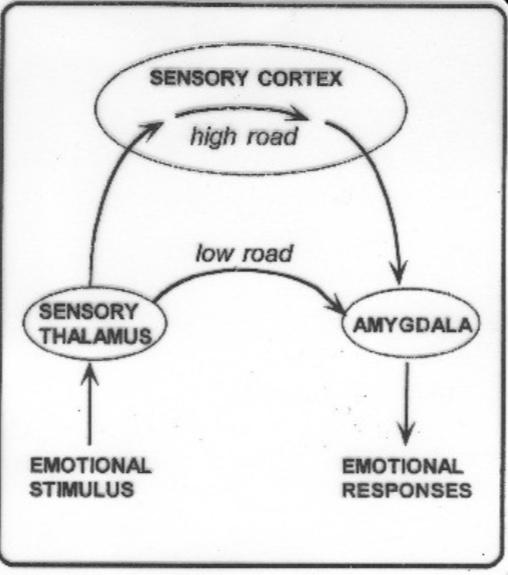 了解情绪的源头,你才能真正懂人性,才能真正调动智慧