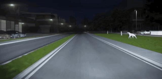 迈腾高强度钢结构图,新款迈腾钣金