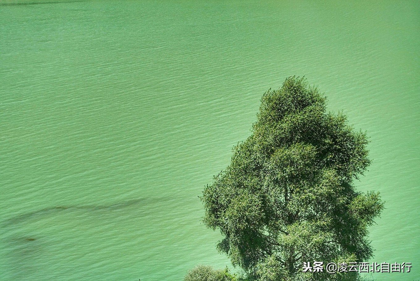 黄龙为什么被誉为中国好声音,黄龙十大风景区
