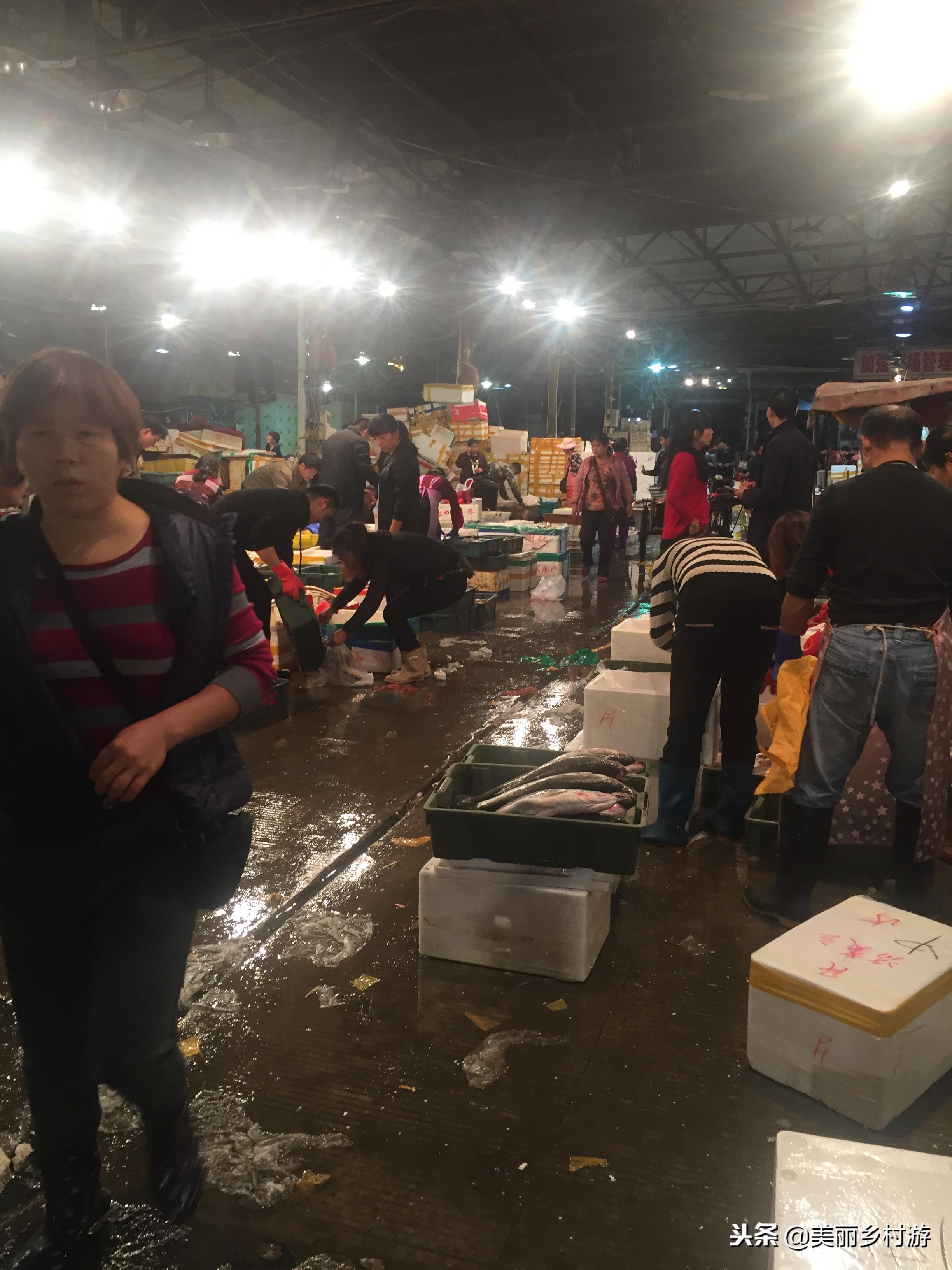 莆田傍晚海鲜批发码头,莆田海鲜批发市场营业时间