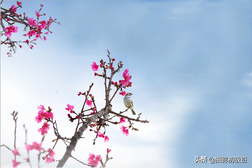 如何把照片p成水墨风格,中国水墨风格摄影