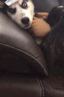 山海经中以乳为目以脐为口的怪物,山海经搞笑图片