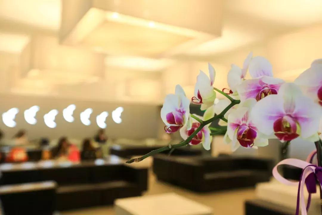 去澳门旅游度假除了*彩博**,原来还可以这么玩