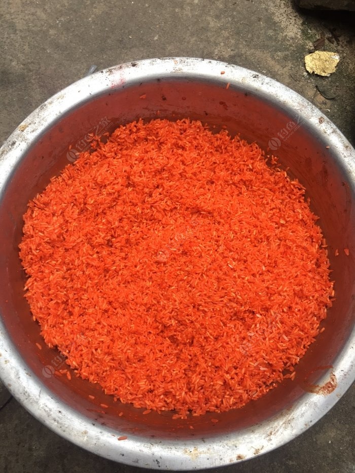 罗汉竹竿,罗汉竹和什么搭配好看