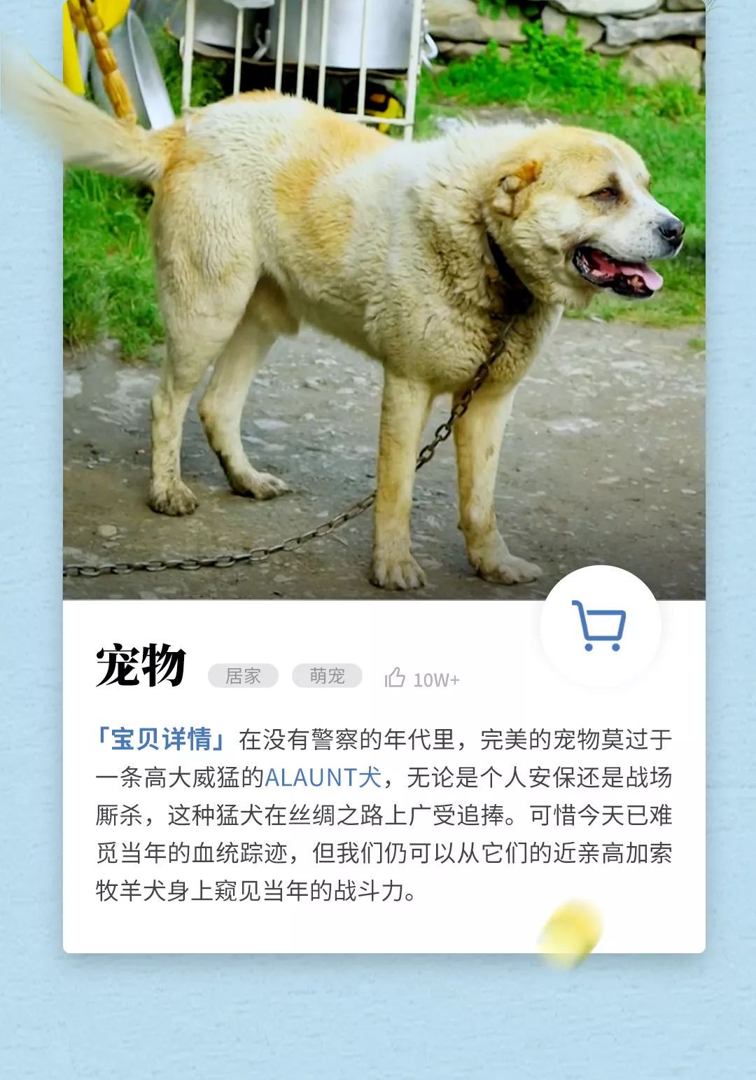 古人都有哪些奢侈品,中国古人爱海淘