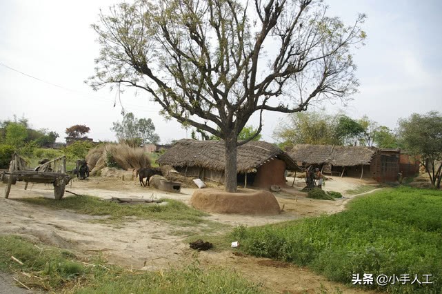 在印度芳香小镇寻访精油，都遇到了什么事