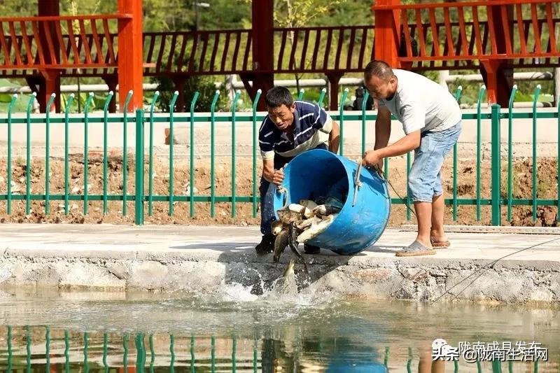 我叫成县，这是我2019年的自拍照