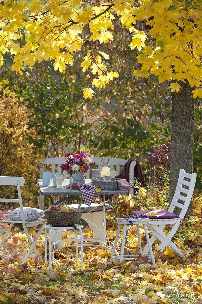 如果气温变冷需要准备什么,温度降到几度花搬到室内