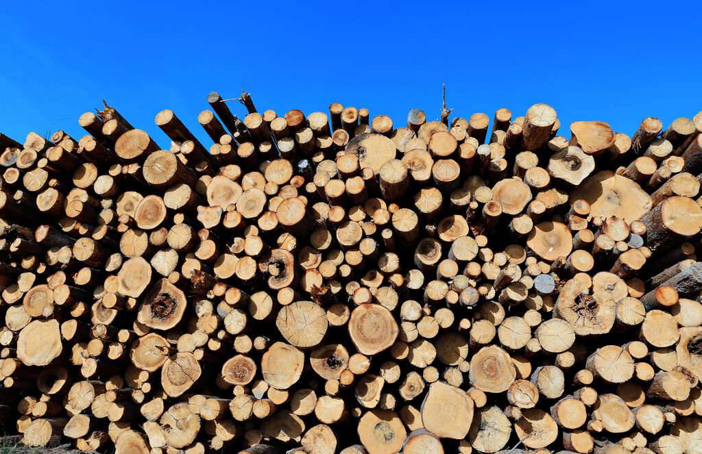 承德木材加工厂推荐瑞达木业！高品质！好服务