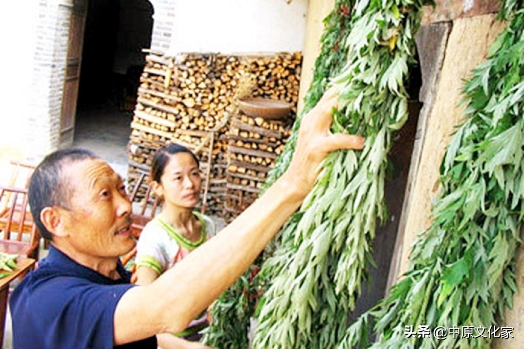 端午节驱五毒是哪的风俗习惯,端午节五毒是哪五种