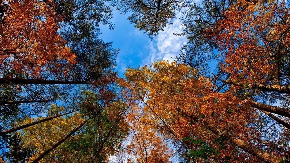 11月适合去旅行的著名风景推荐,10月11月适合旅游的地方