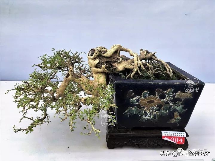 骞哥涔呬箙鐢滅敎铚滆湝,骞哥涔呬箙