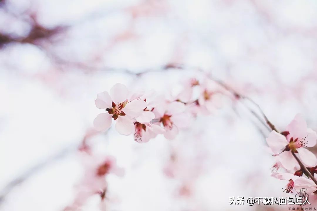 面包表皮起皱的原因,面包出炉后塌陷变皱是什么原因