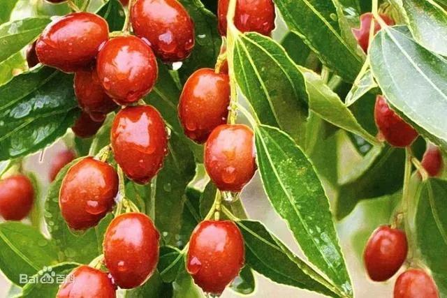 静海县政府奖励企业金牌,天津为静海而骄傲