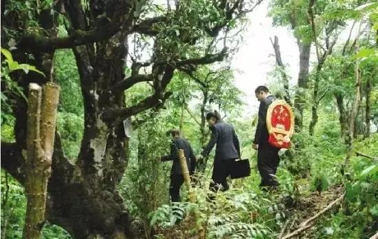 到派出所立案有什么好处,基层法庭工作是干嘛的