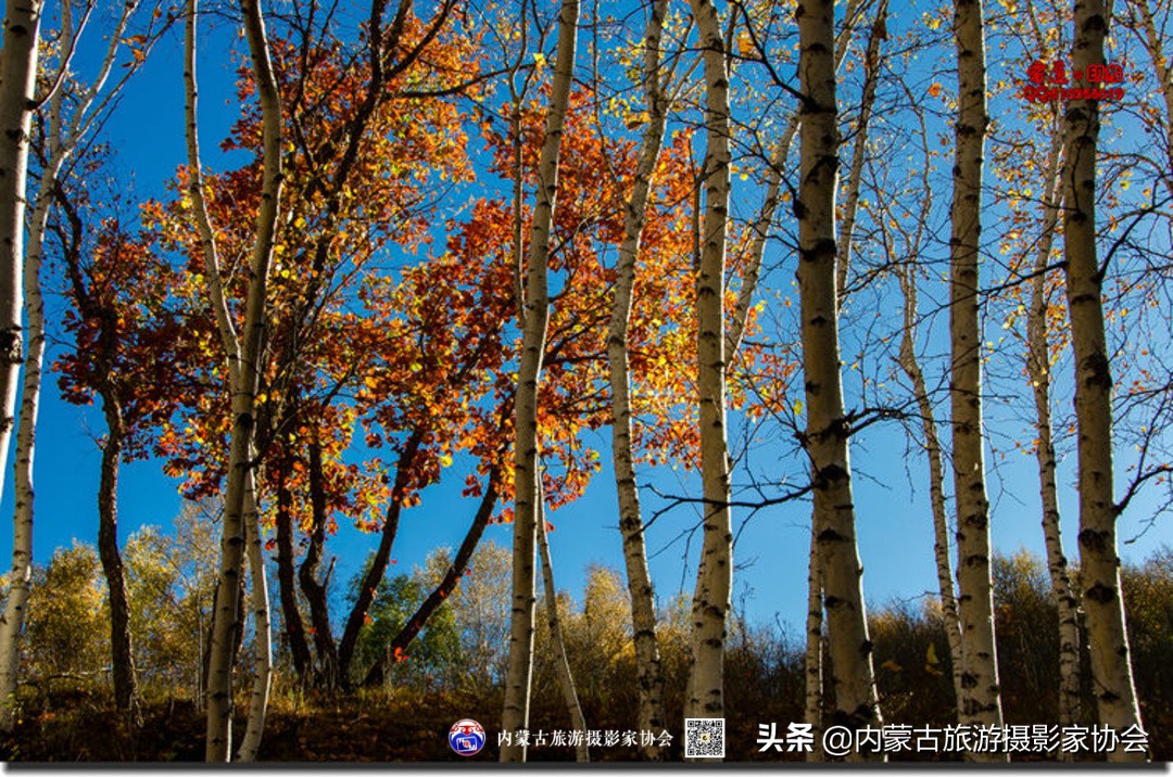 那山那水那滋味,那山那水那份爱