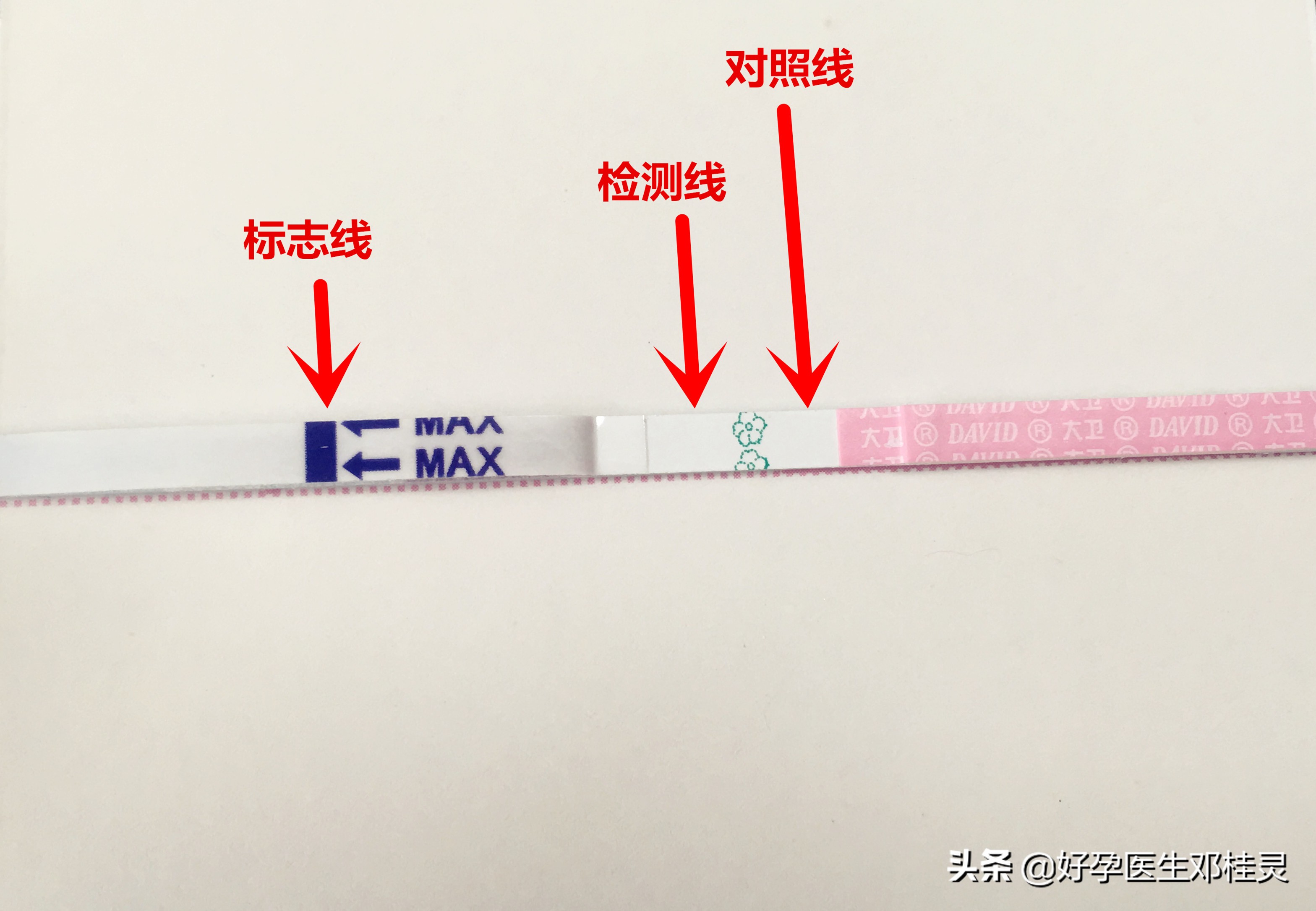 排卵试纸会受什么影响检测结果,排卵试纸是怎么看结果的