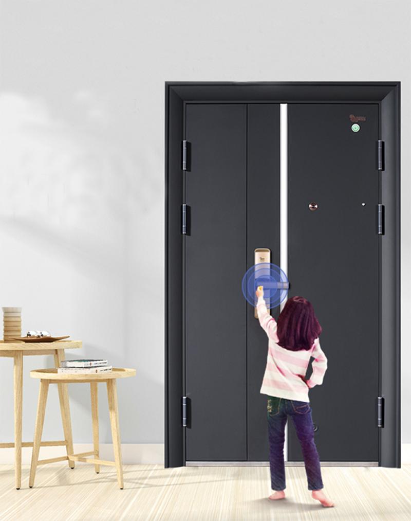 普通防盗门能改子母门吗,你家防盗门