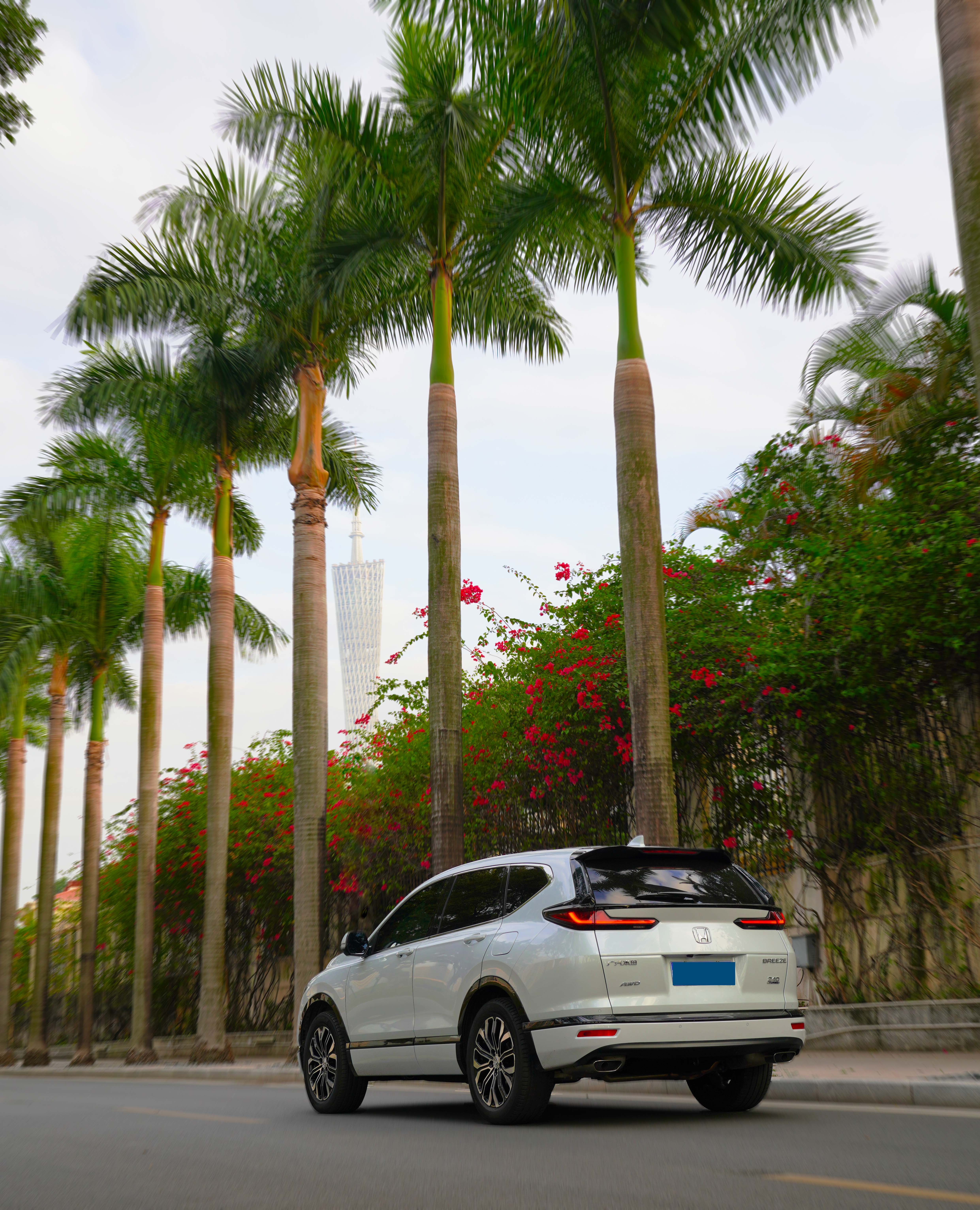 皓影郊游,海洋湖泊周末约会