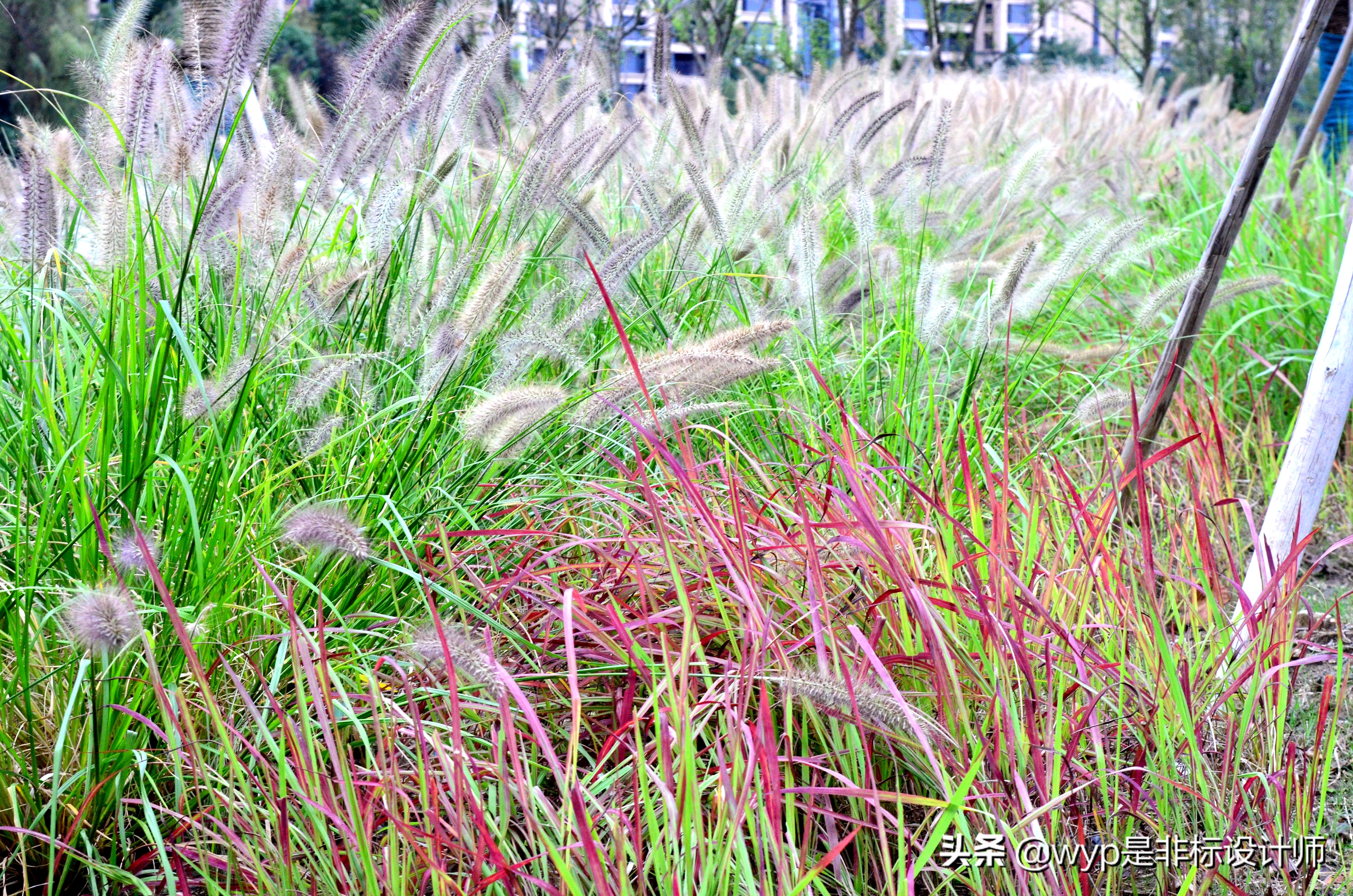 云林仙境航拍,云林仙境美景