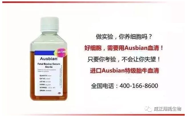 高品质新生牛血清为疫苗生产助力,疫苗血清制品包括哪些药品