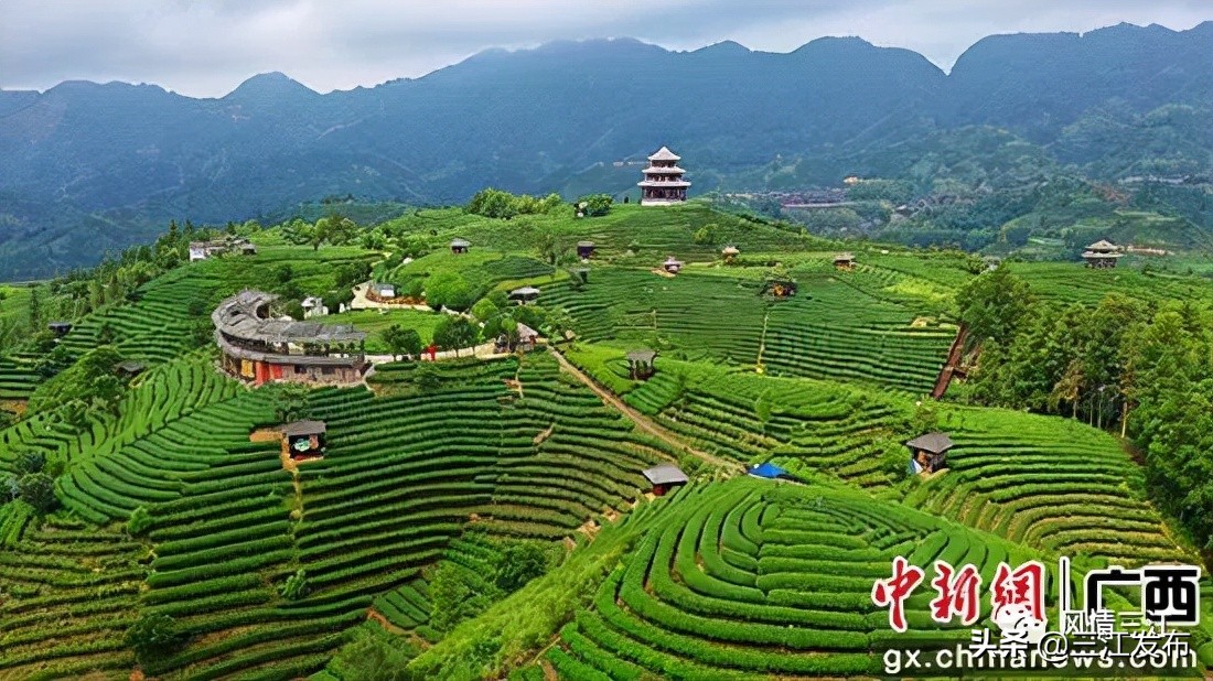 媒体看融安,三江侗乡新闻