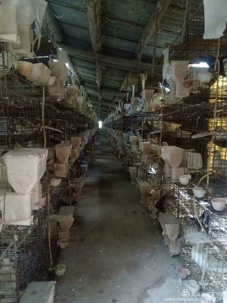 种农高手,农业高手