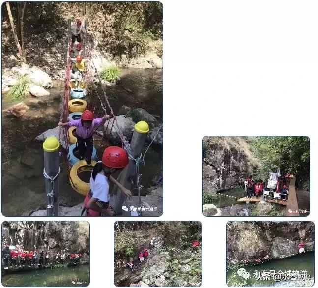 永春岵山荔枝节几点开始,永春岵山第十一届荔枝节