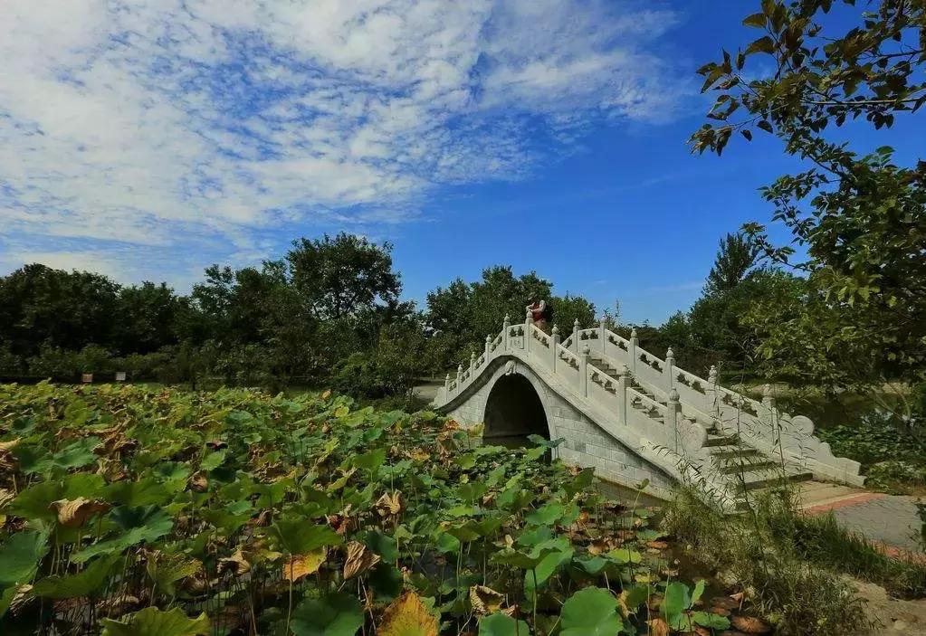 北京市老年卡免费公园博物馆名录，赶快转给需要的朋友们吧