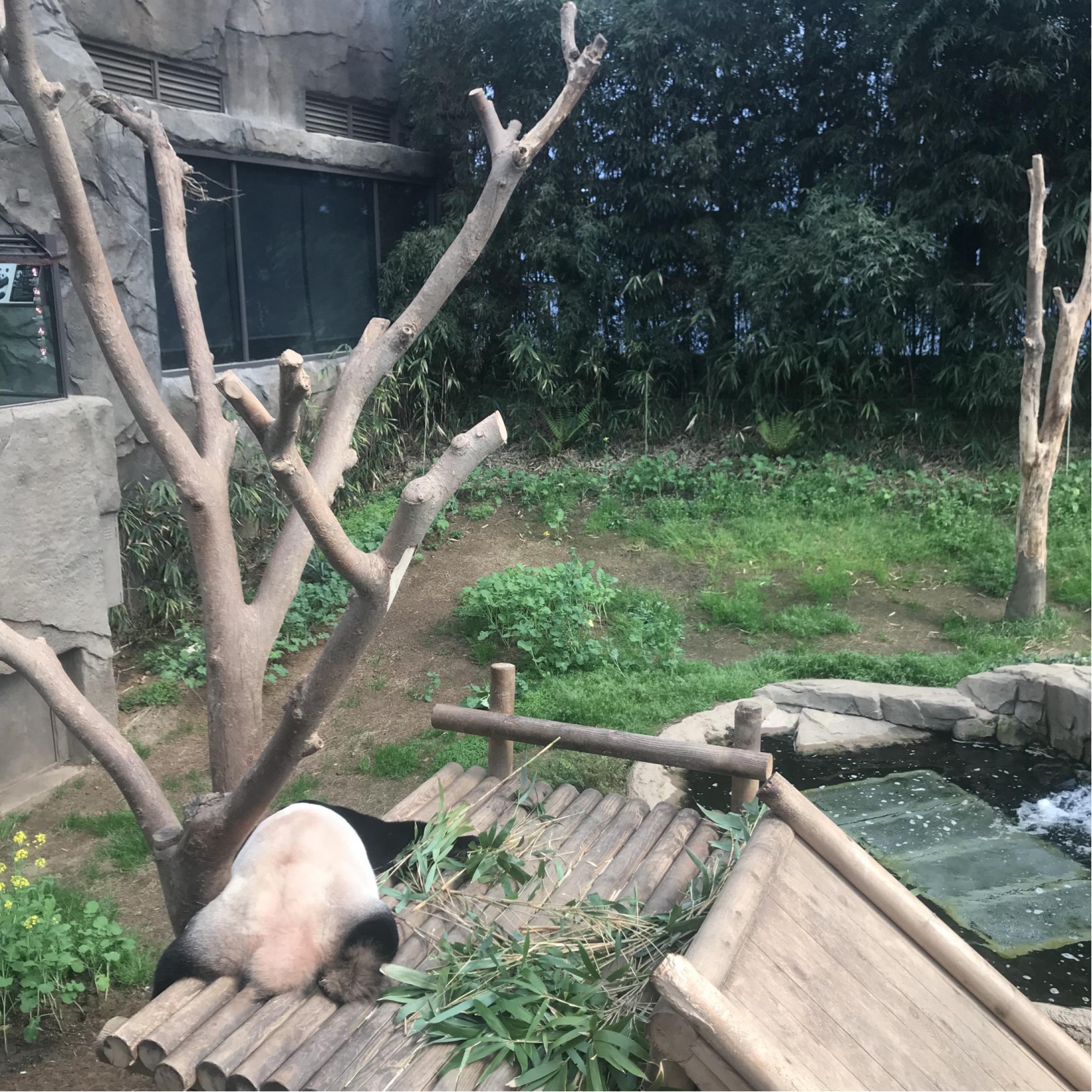 三星爱宝乐园面积,韩国爱宝乐园游乐园